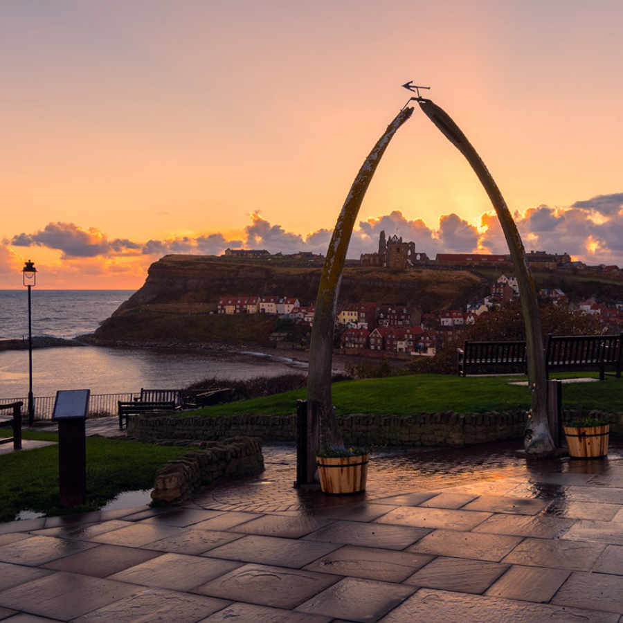 Whitby's Whalebones